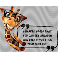 Animal Integration-DW 2292